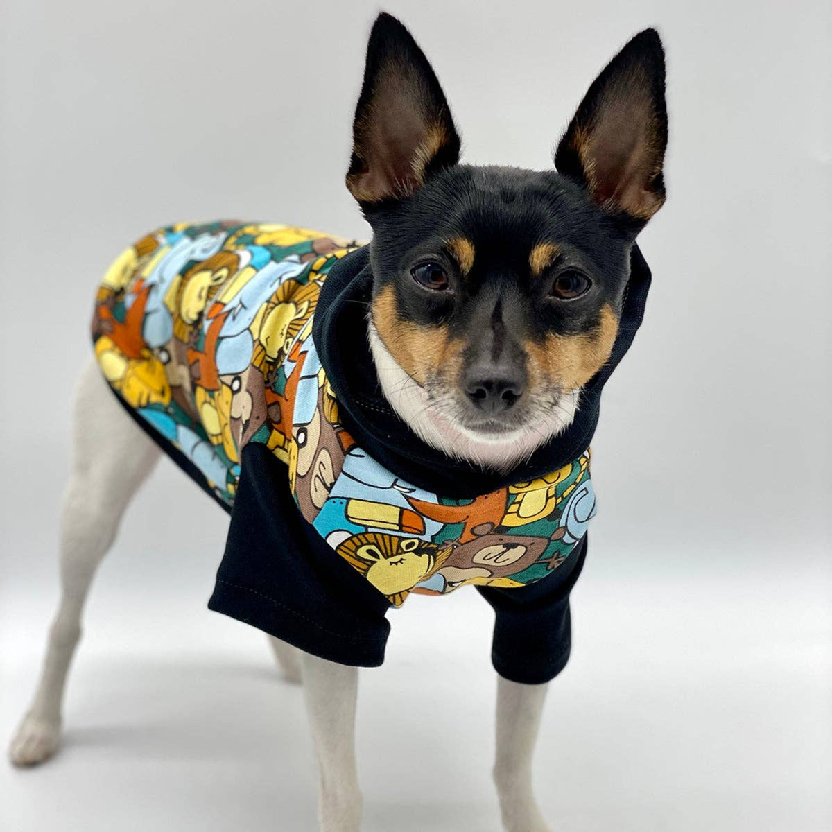 Day at the Zoo Dog Hoodie - Limited Edition