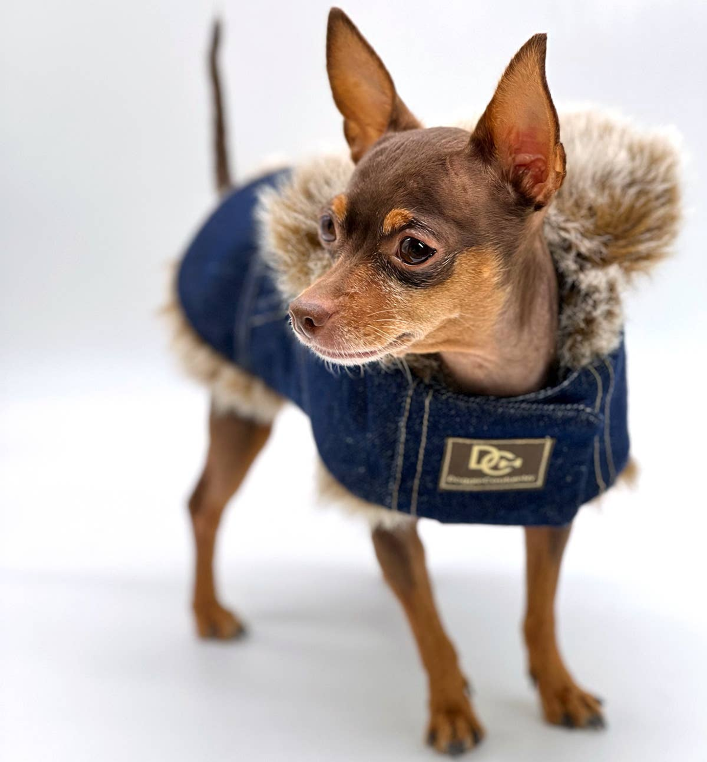 DCNY Faux Fur Denim Dog Coat