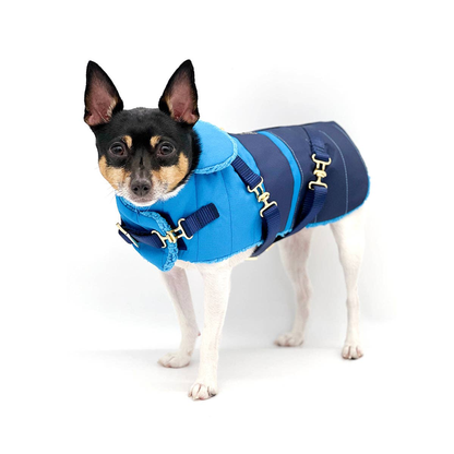 Clear Blue Sky Dog Equestrian Coat