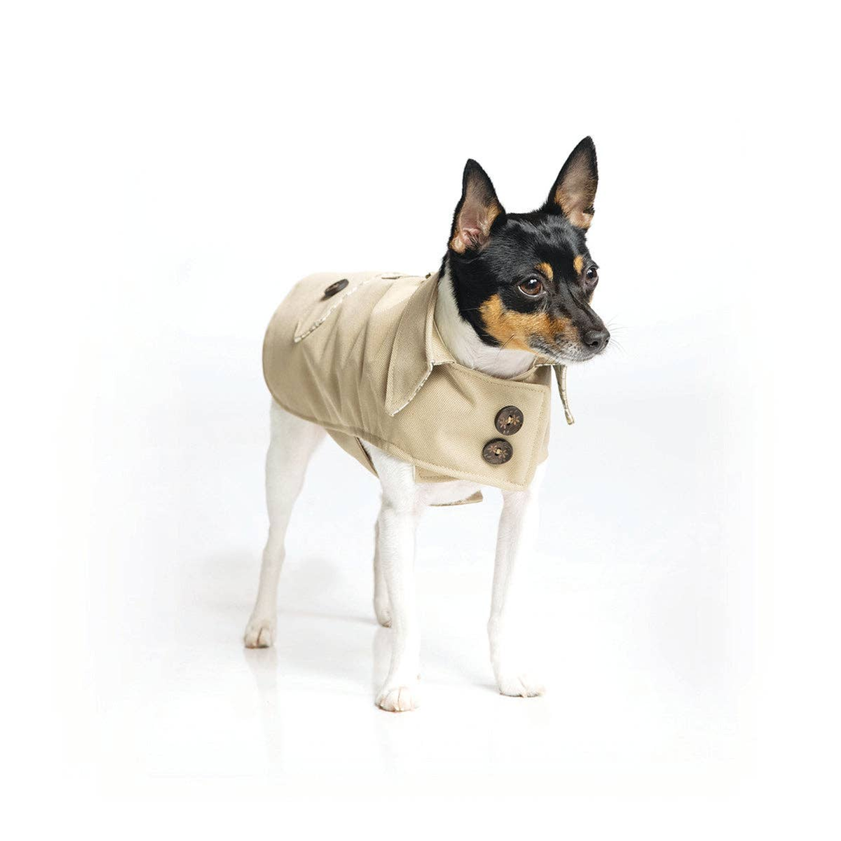 Classic Dog Trench Coat