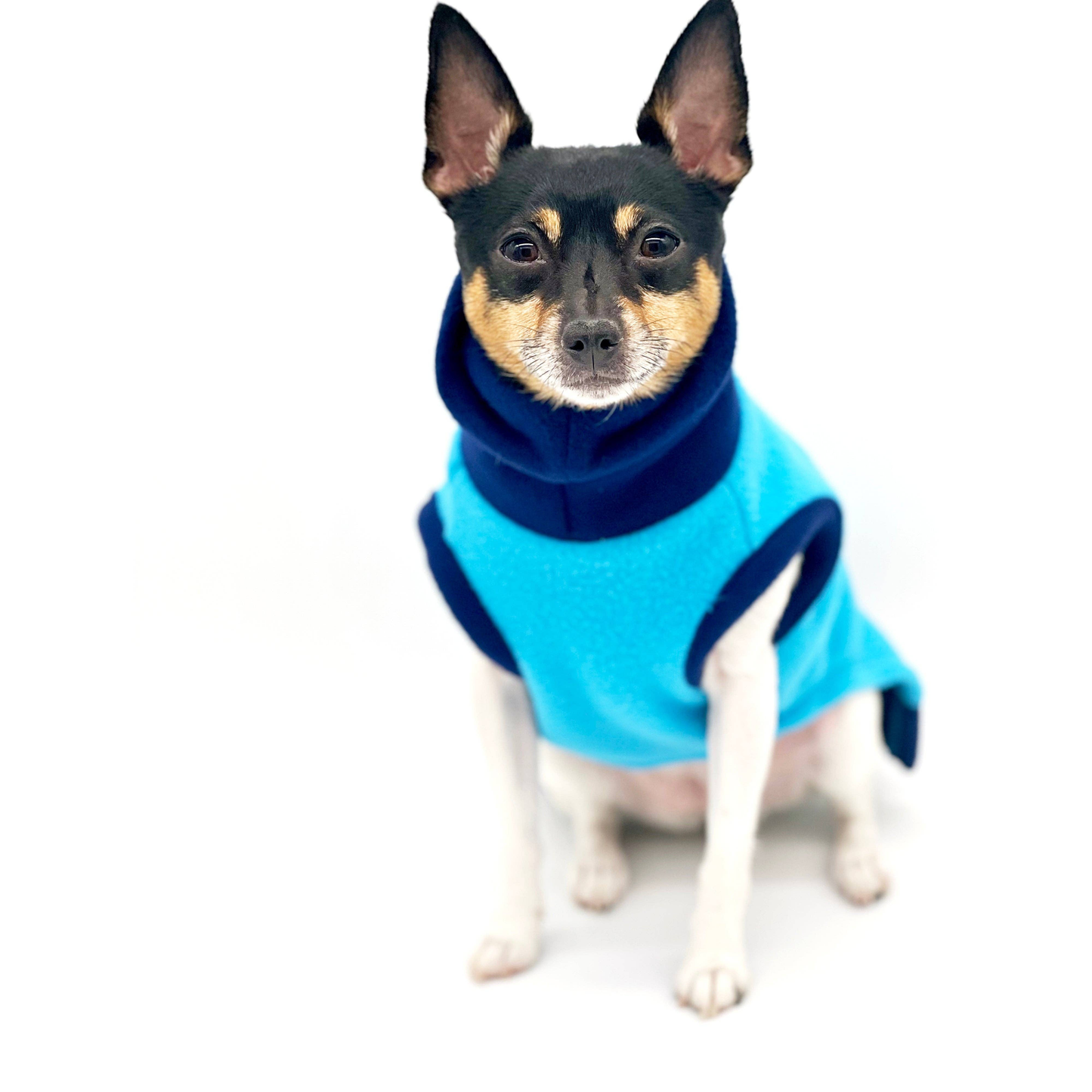 Two Tone Blue Longneck Dog Sweater