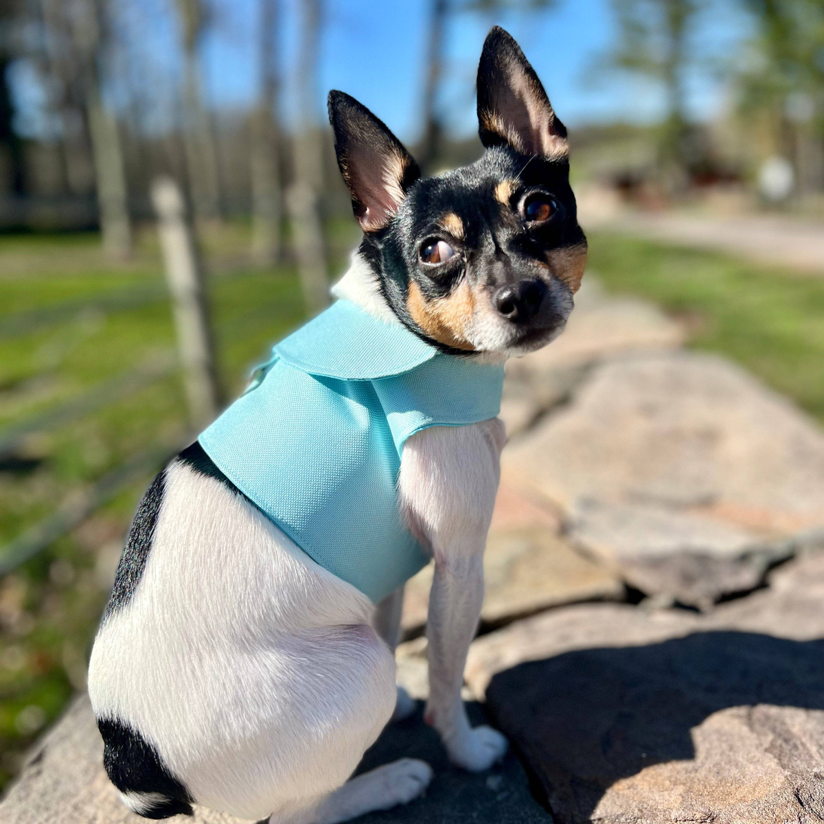 DCNY Denim Flower Dog Harness Vest