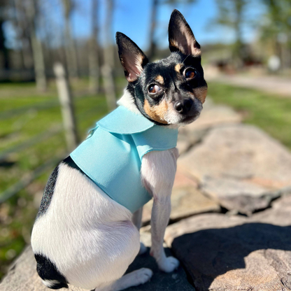 DCNY Denim Flower Dog Harness Vest