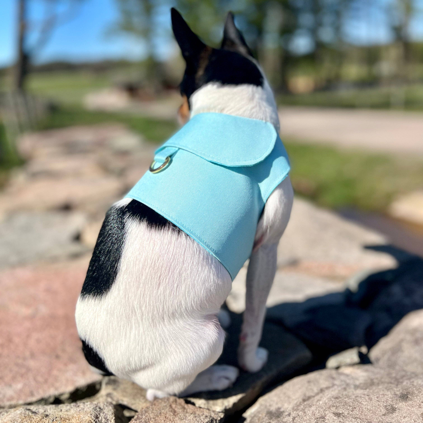 DCNY Denim Flower Dog Harness Vest