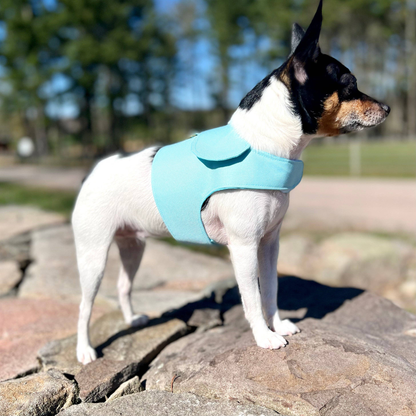 DCNY Denim Flower Dog Harness Vest