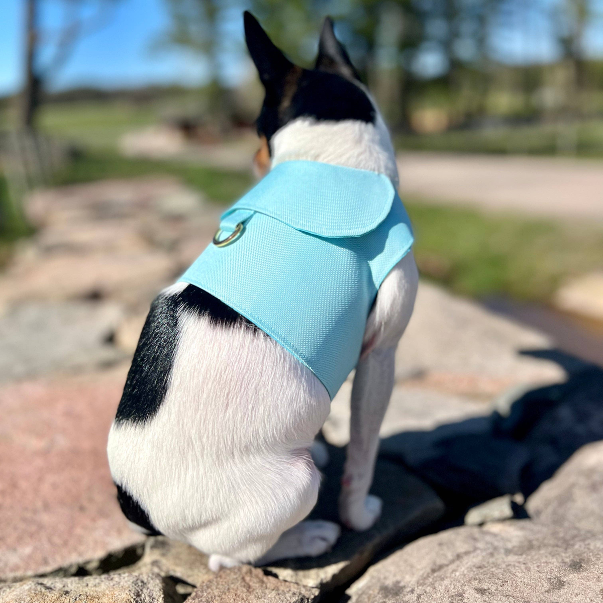 DCNY Denim Flower Dog Harness Vest