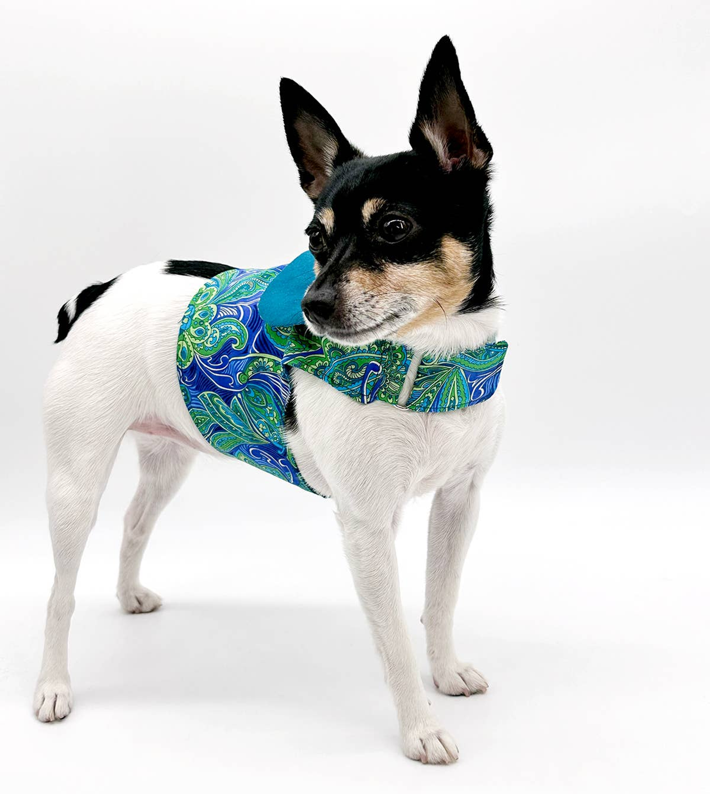 Pretty in Paisley Vest-Style Dog Harness