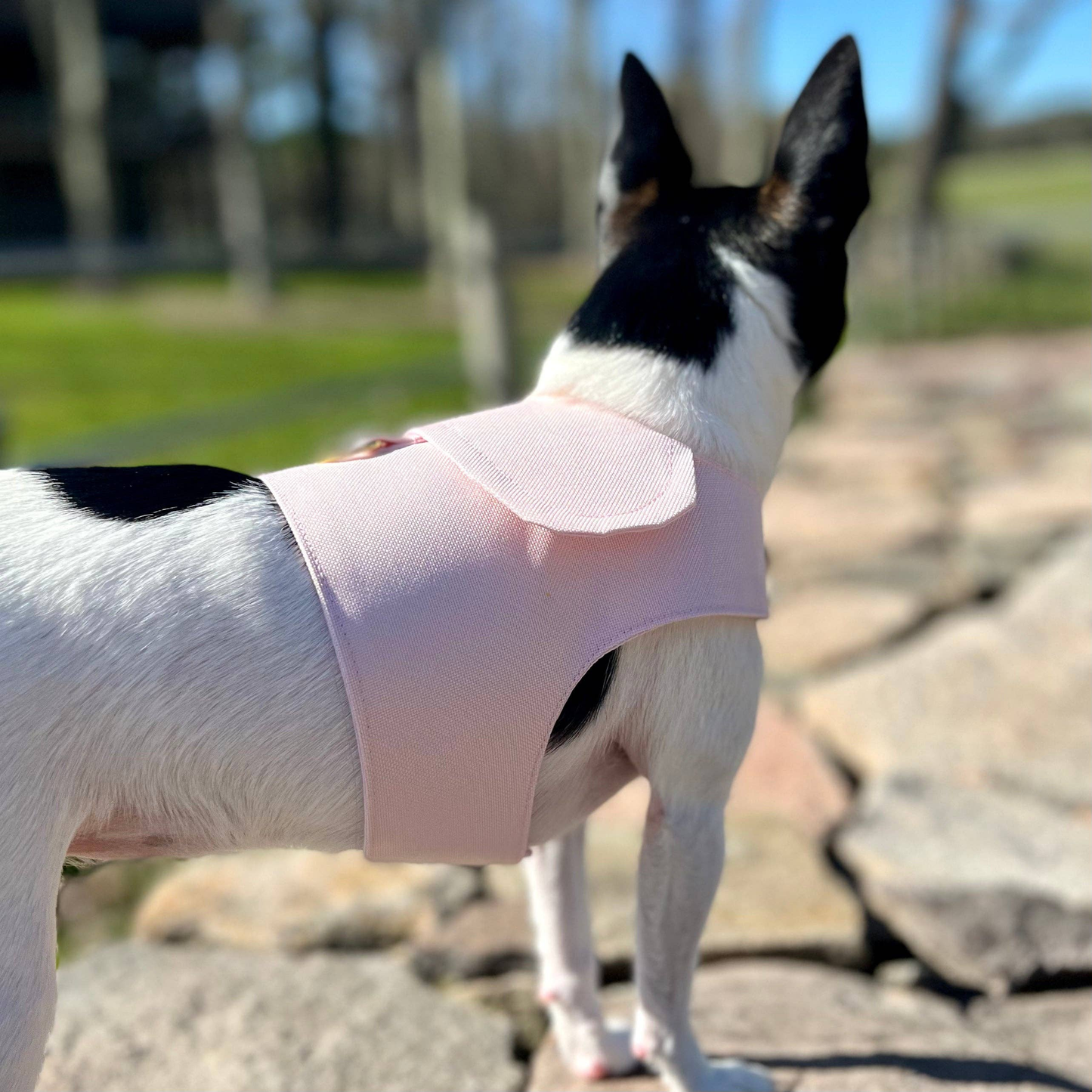 DCNY Denim Flower Dog Harness Vest