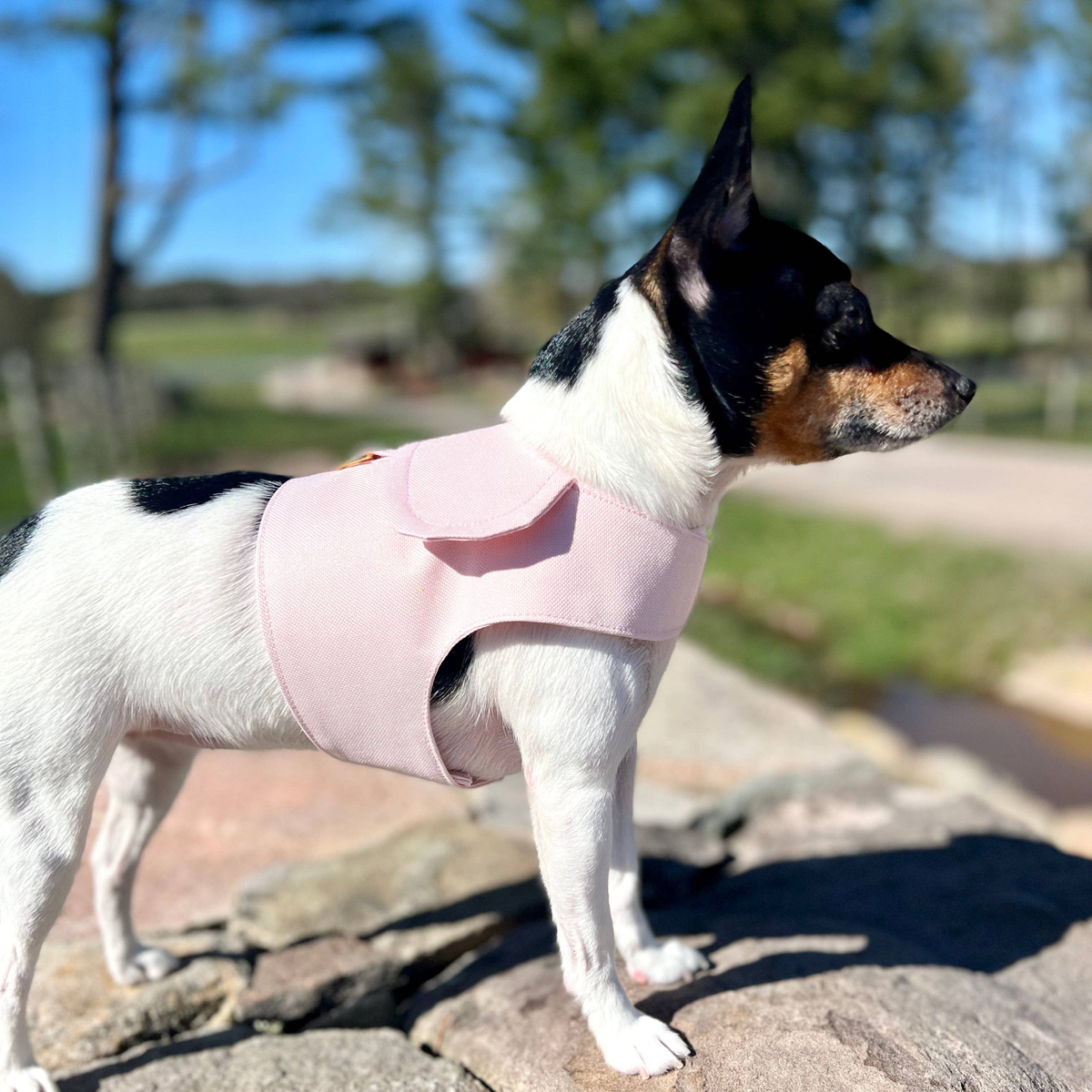 DCNY Denim Flower Dog Harness Vest