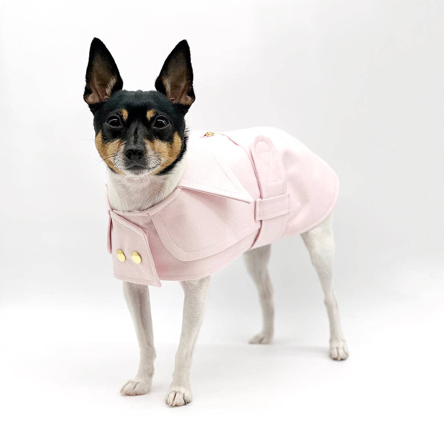 Belted Dog Trench Coat