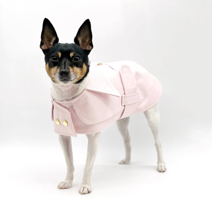 Belted Dog Trench Coat