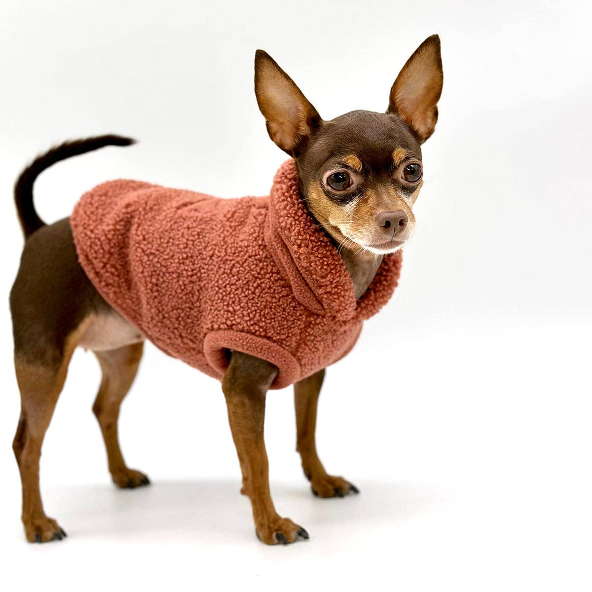 Cozy Sherpa Fleece Dog Pullover
