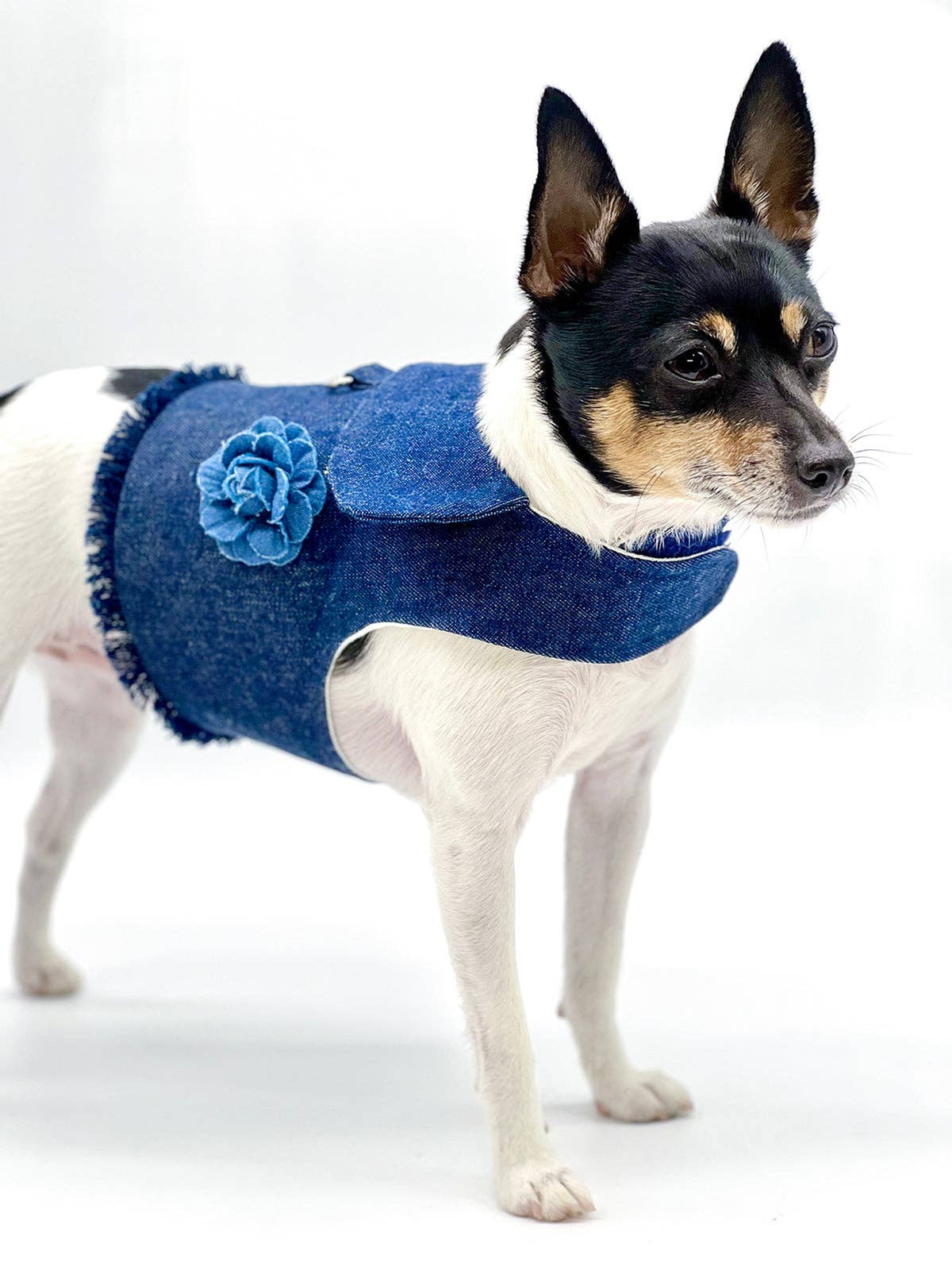 DCNY Denim Flower Dog Harness Vest