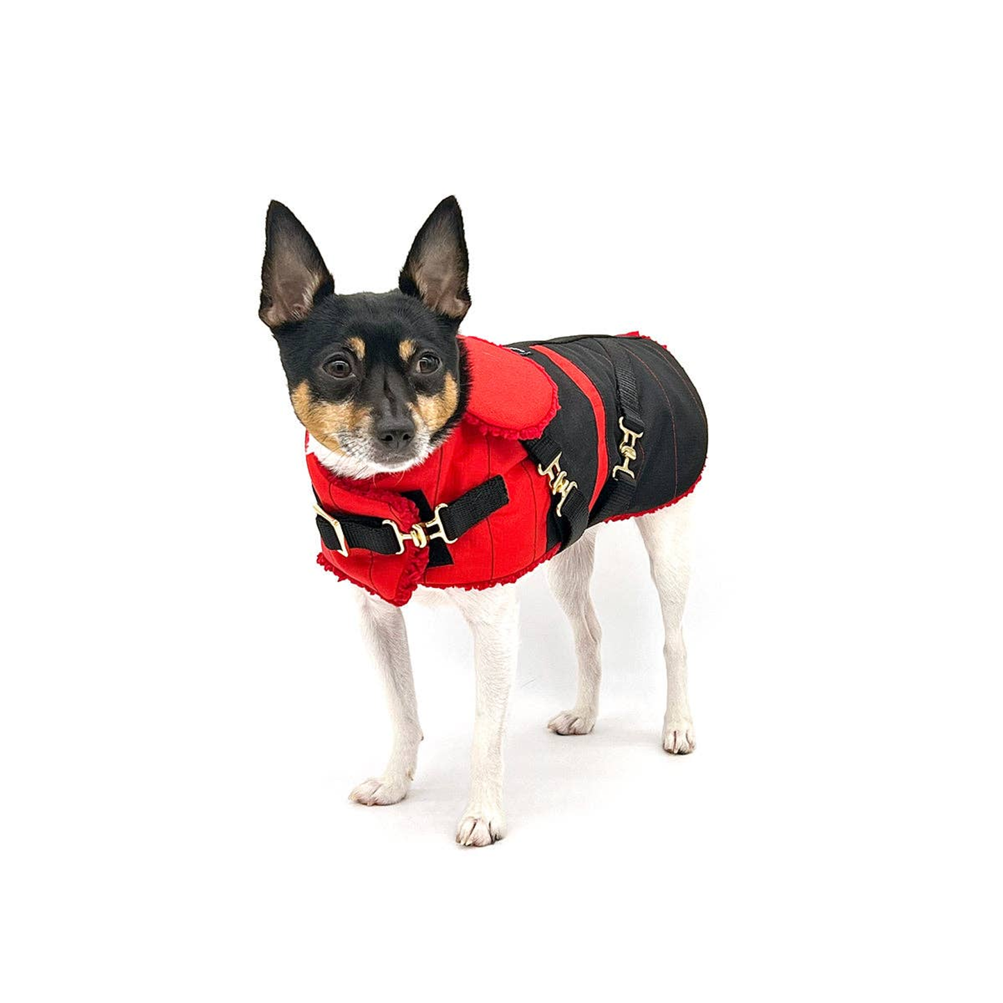 Ruby Red Dog Equestrian Coat