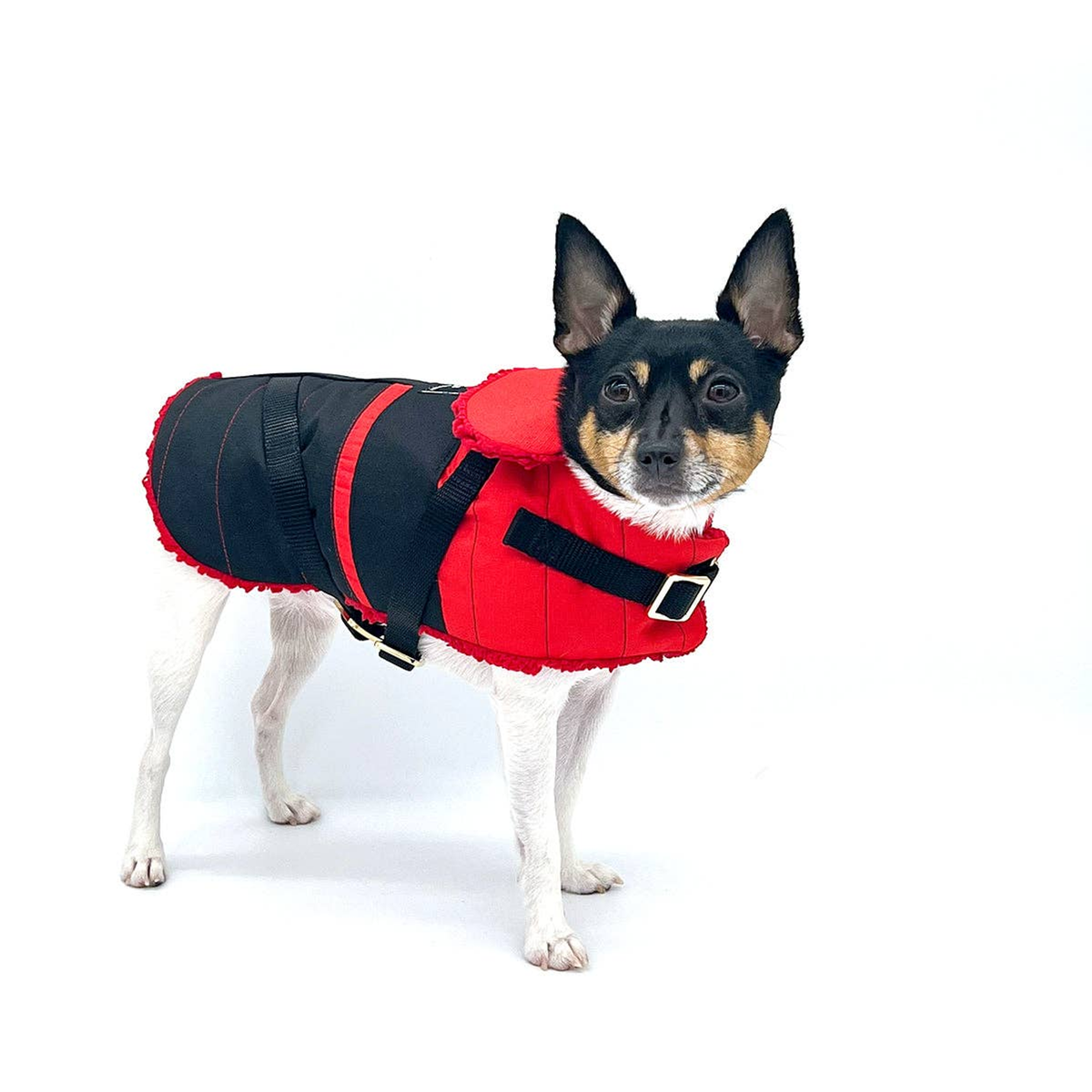 Ruby Red Dog Equestrian Coat