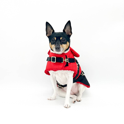 Ruby Red Dog Equestrian Coat