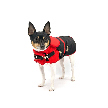 Ruby Red Dog Equestrian Coat