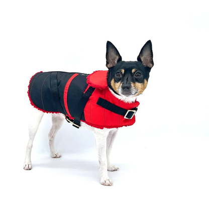 Ruby Red Dog Equestrian Coat