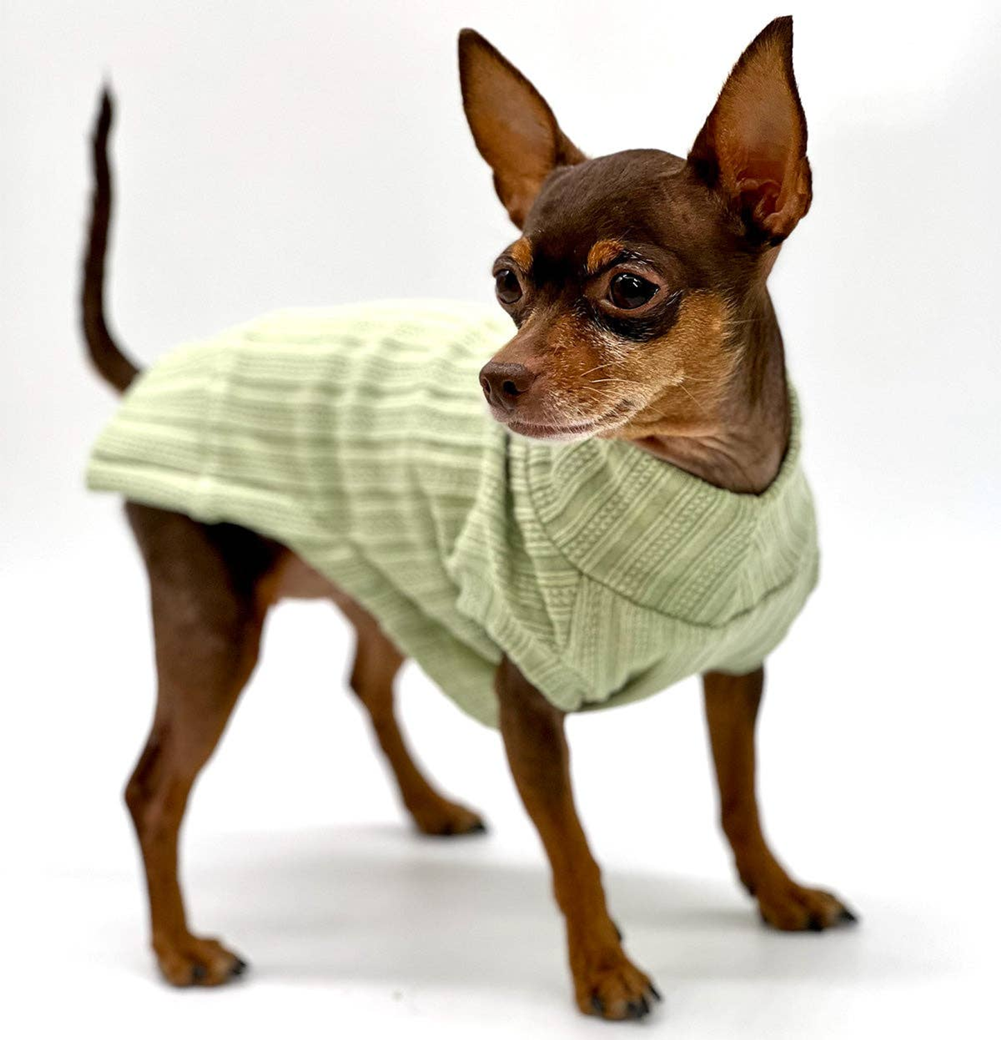 Mock Neck Sleeveless Dog Sweater Tank