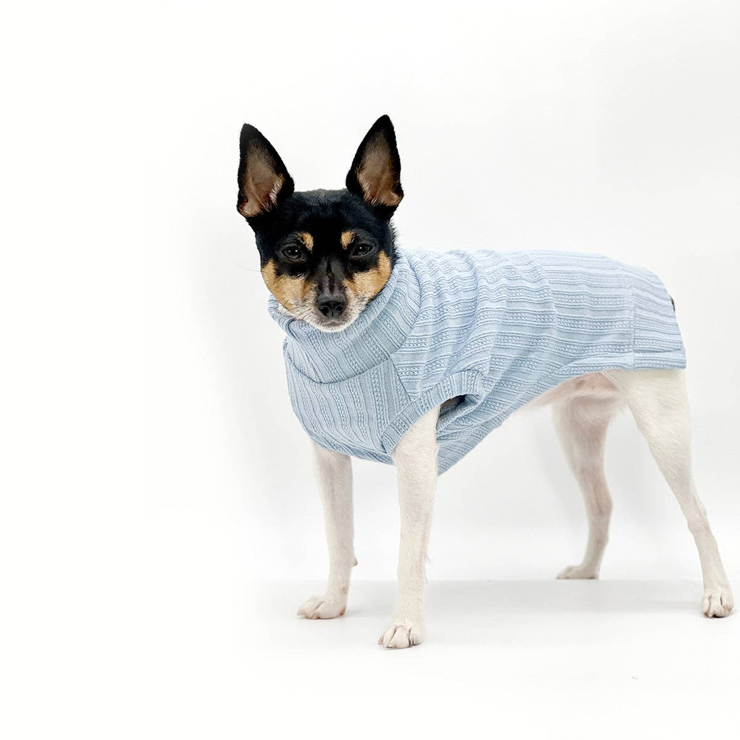 Mock Neck Sleeveless Dog Sweater Tank