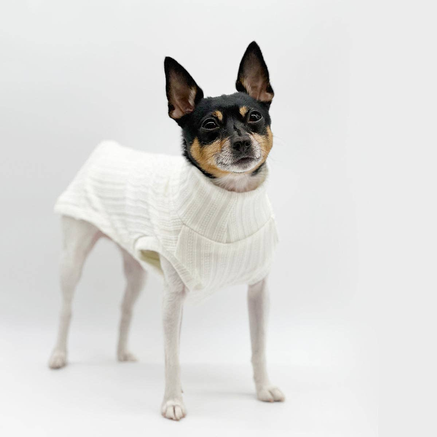 Mock Neck Sleeveless Dog Sweater Tank