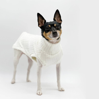 Mock Neck Sleeveless Dog Sweater Tank