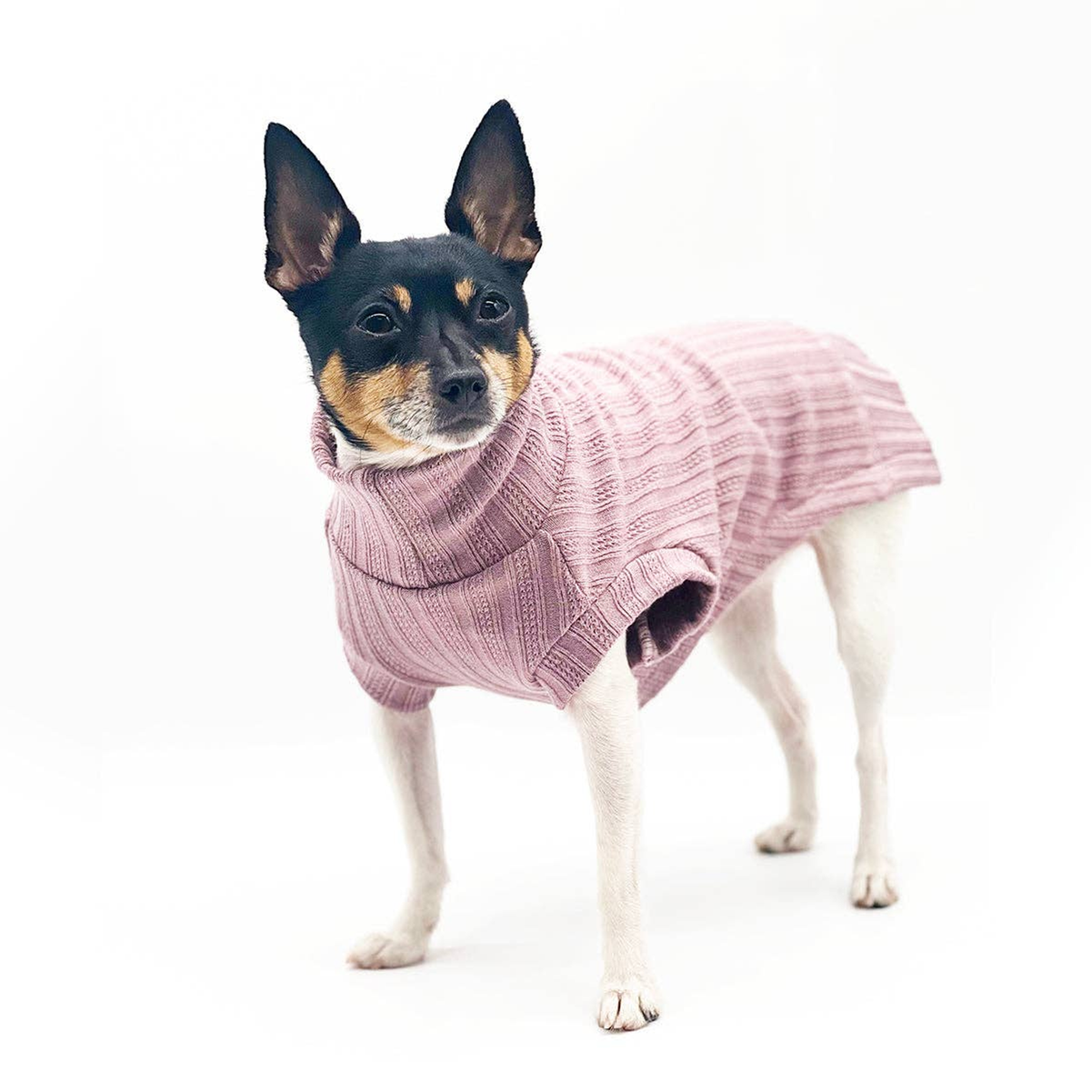Mock Neck Sleeveless Dog Sweater Tank
