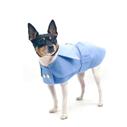 Belted Dog Trench Coat