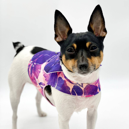DCNY Purple Hibiscus Dog Harness Vest