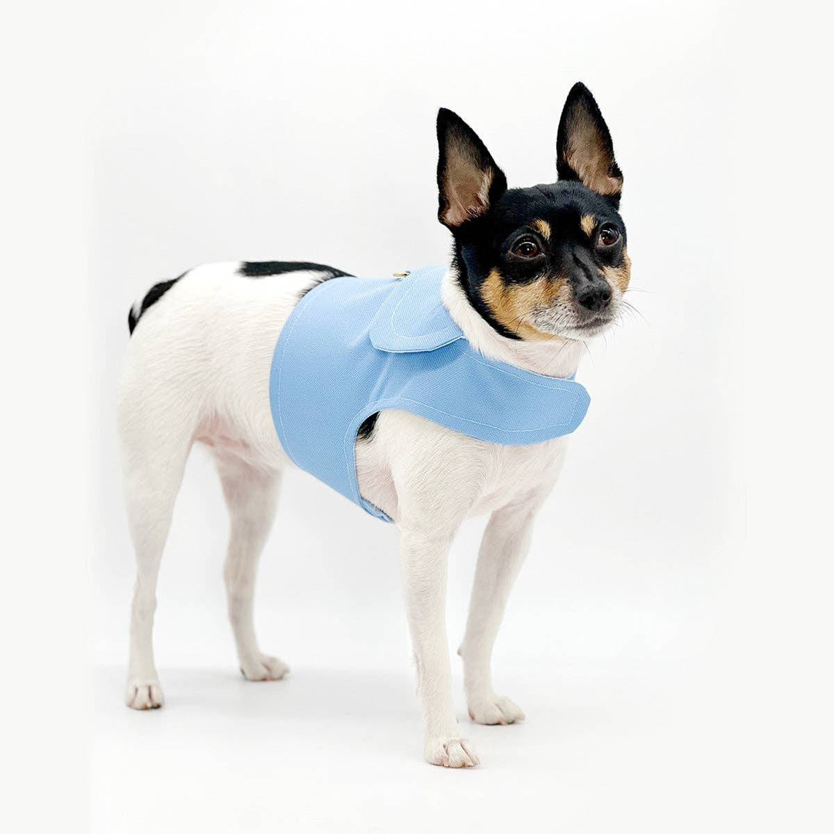DCNY Periwinkle Dog Harness Vest