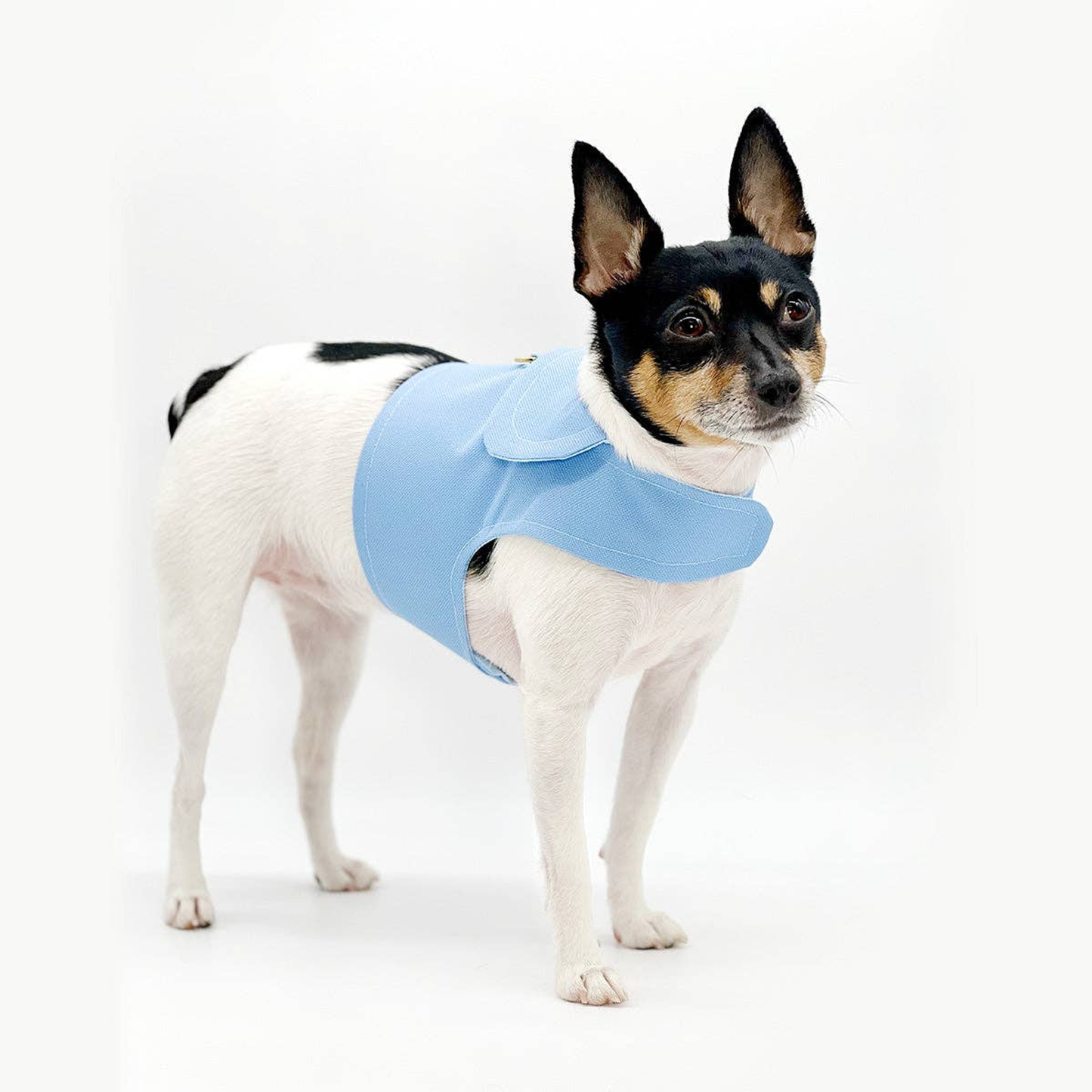 DCNY Periwinkle Dog Harness Vest