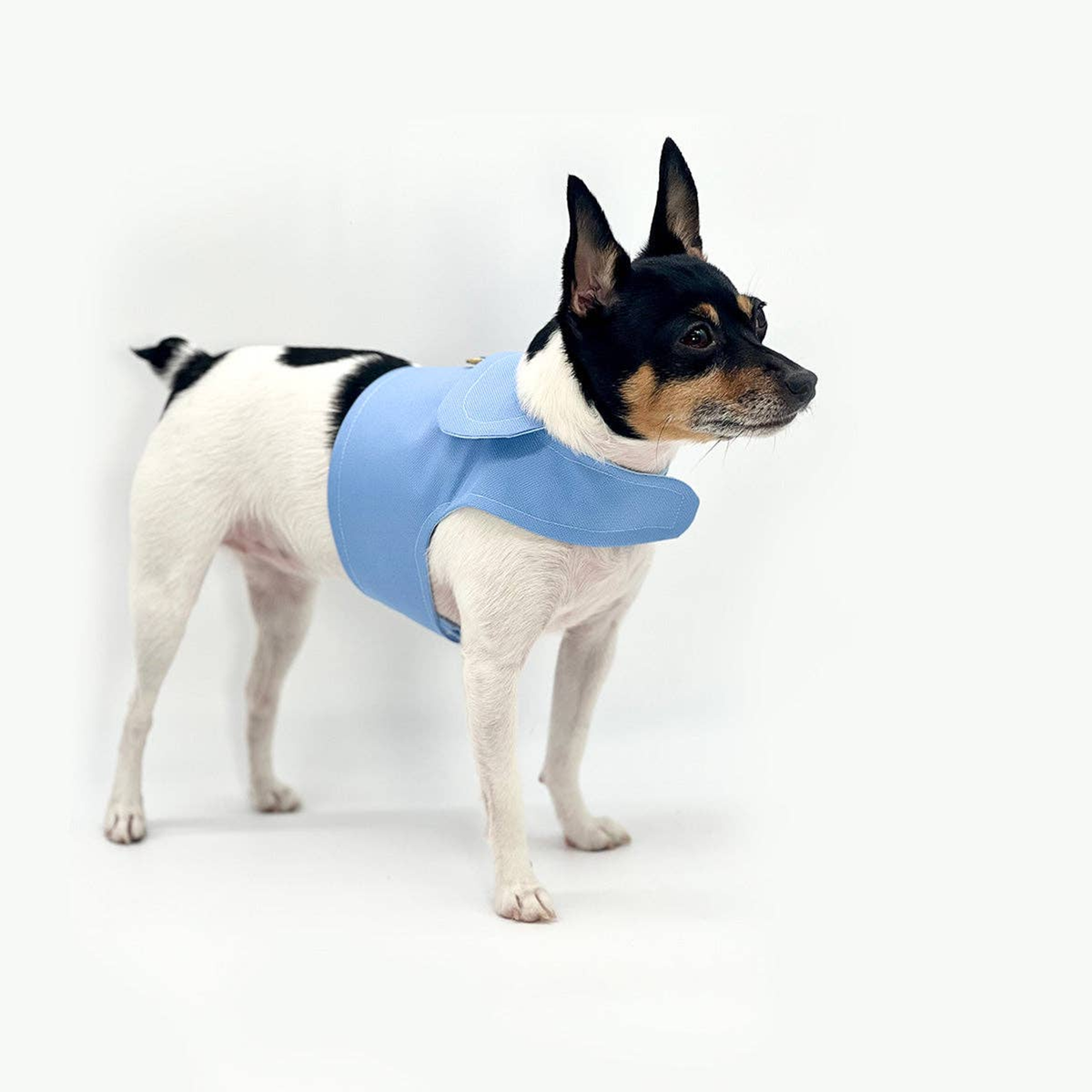 DCNY Periwinkle Dog Harness Vest