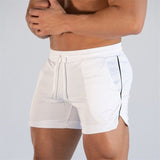 Quick Dry Sports Shorts