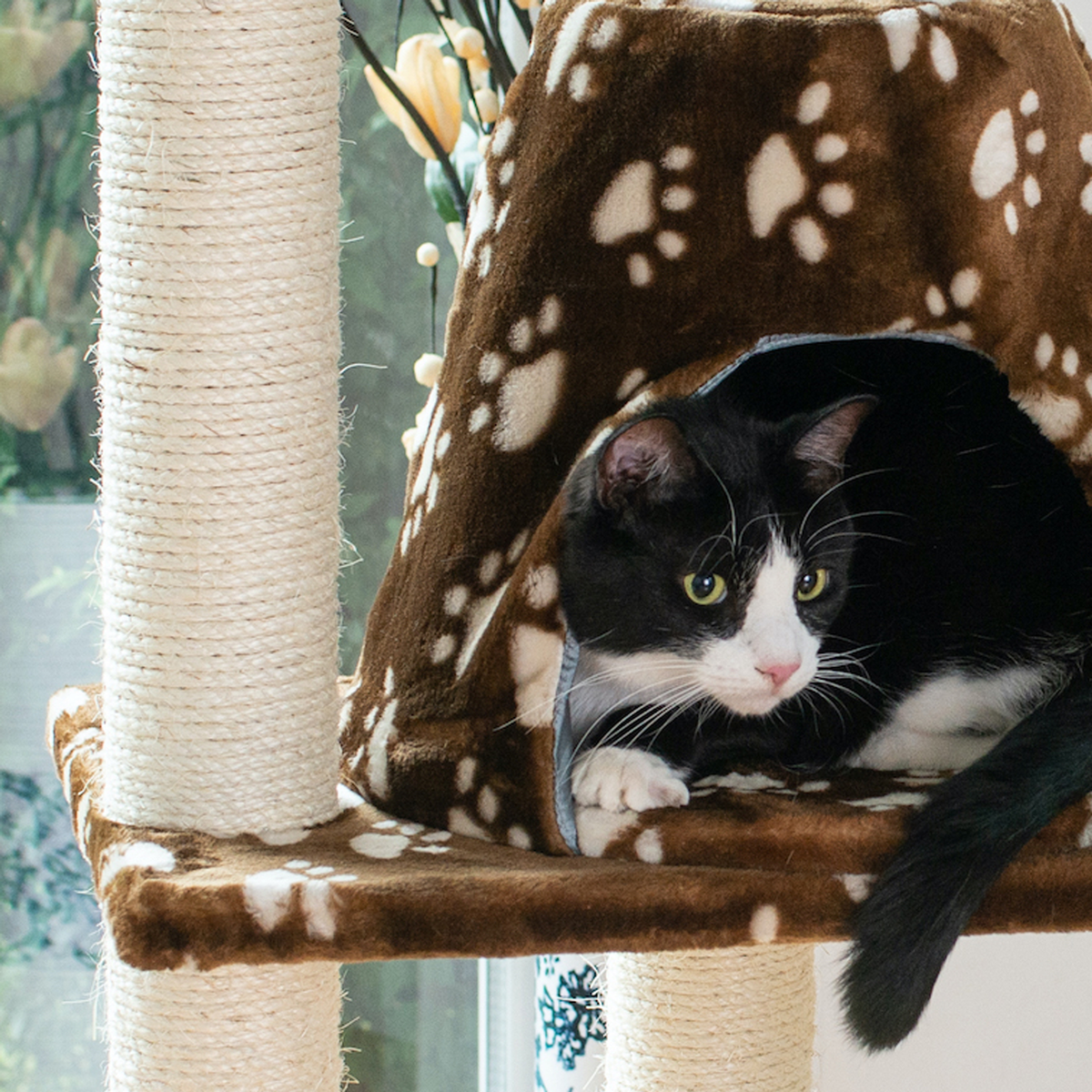 Armarkat Cat Tree with Hammock Bed for Cats and Kittens