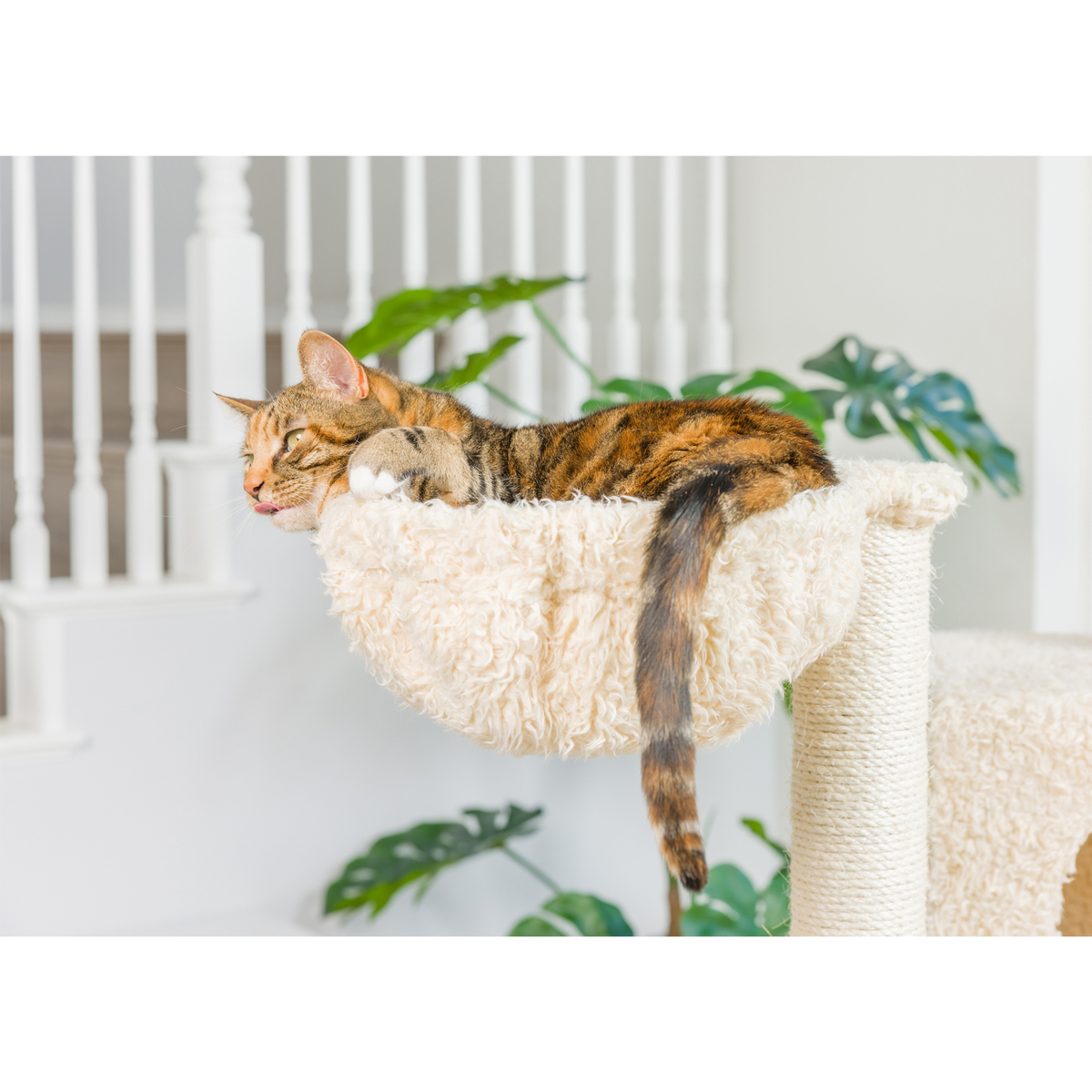 Armarkat Real Wood Multi-Level Cat Tree Climber