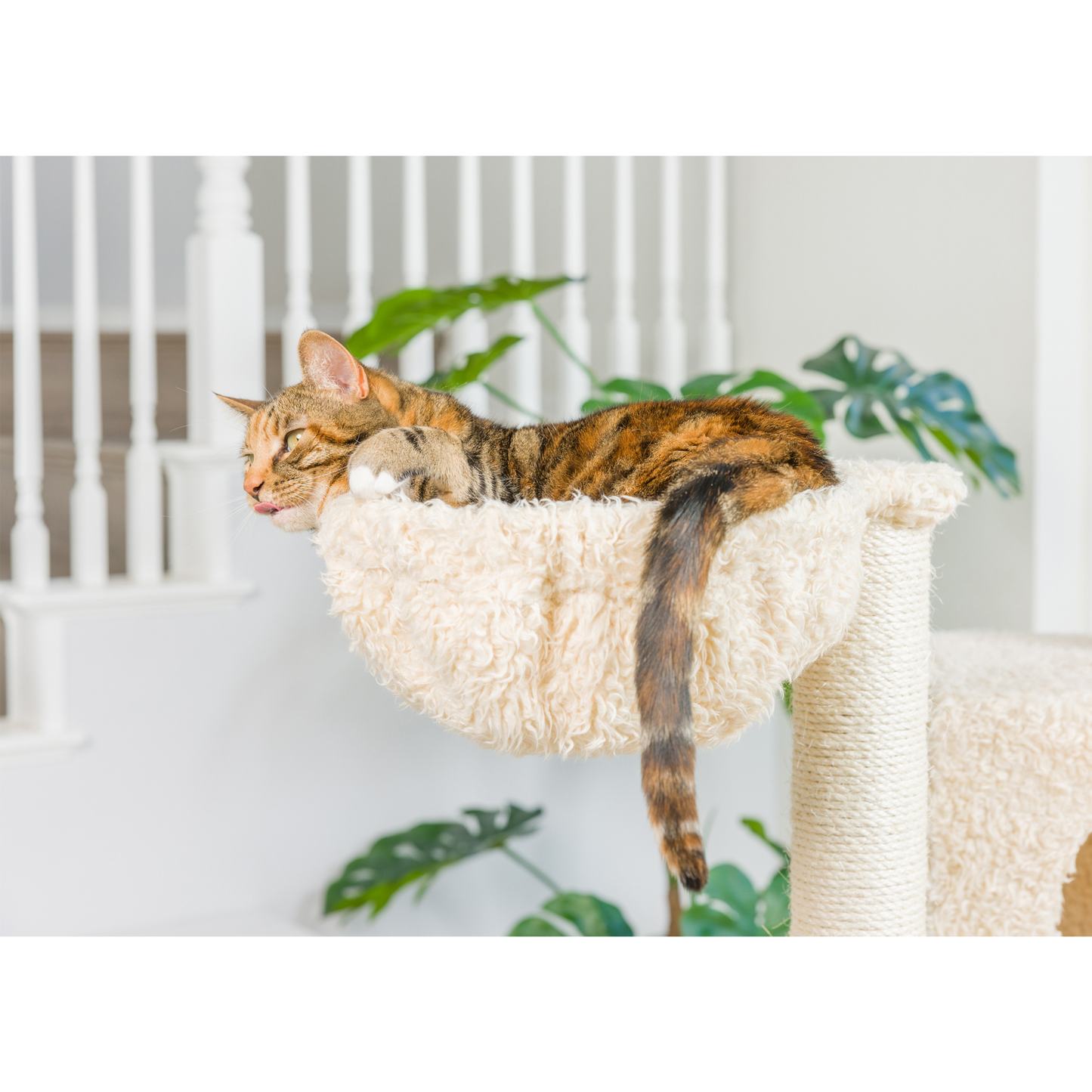 Armarkat Real Wood Multi-Level Cat Tree Climber