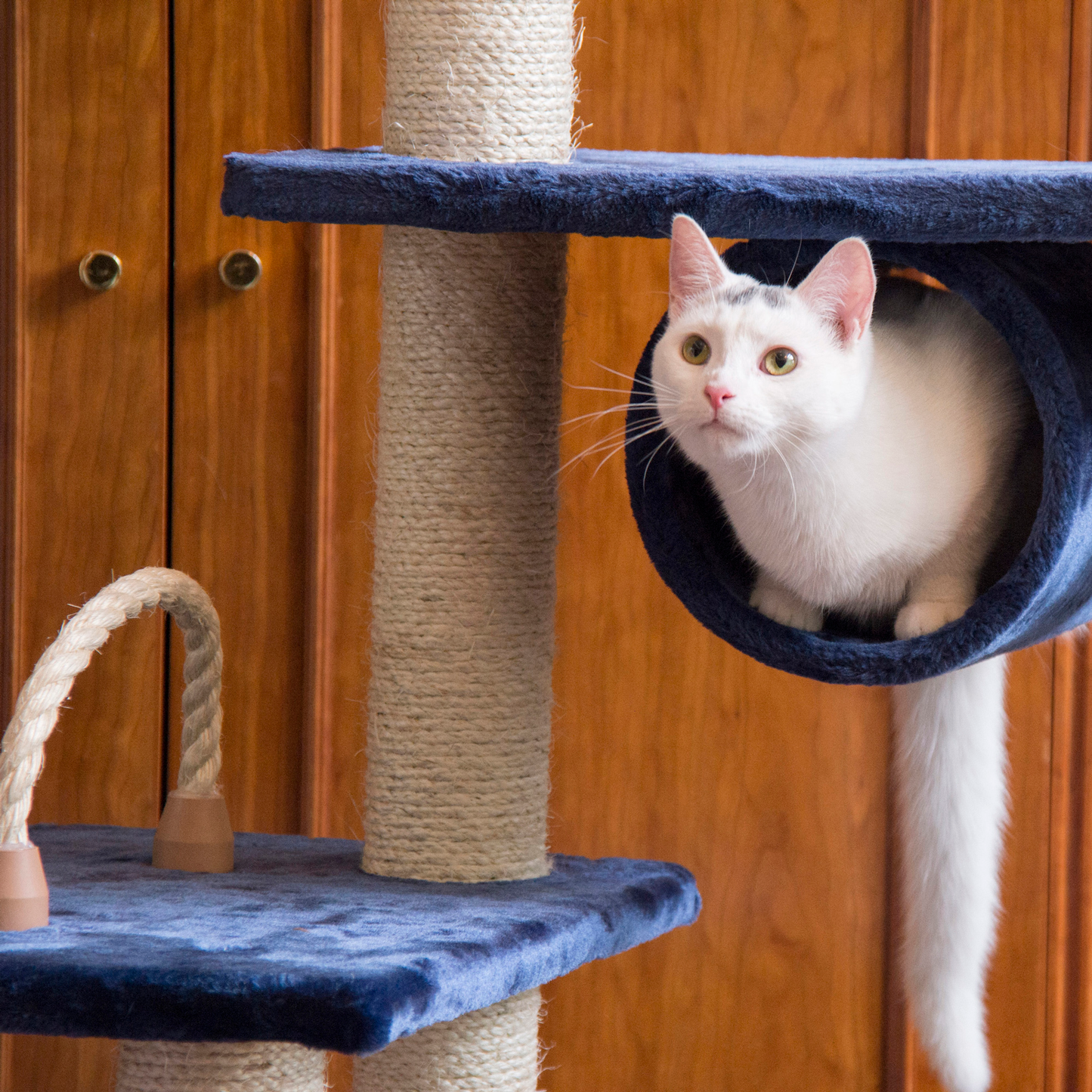 Armarkat Real Wood 70-Inch Navy Multi-Level Cat Tower