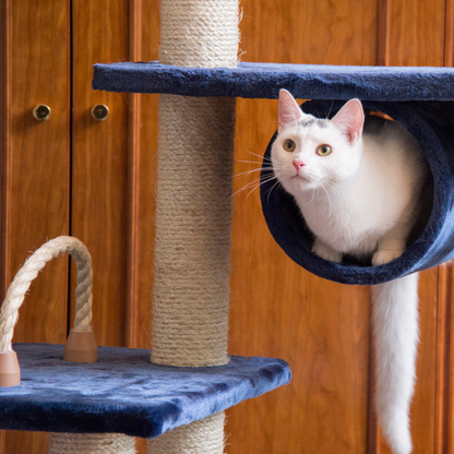 Armarkat Real Wood 70-Inch Navy Multi-Level Cat Tower