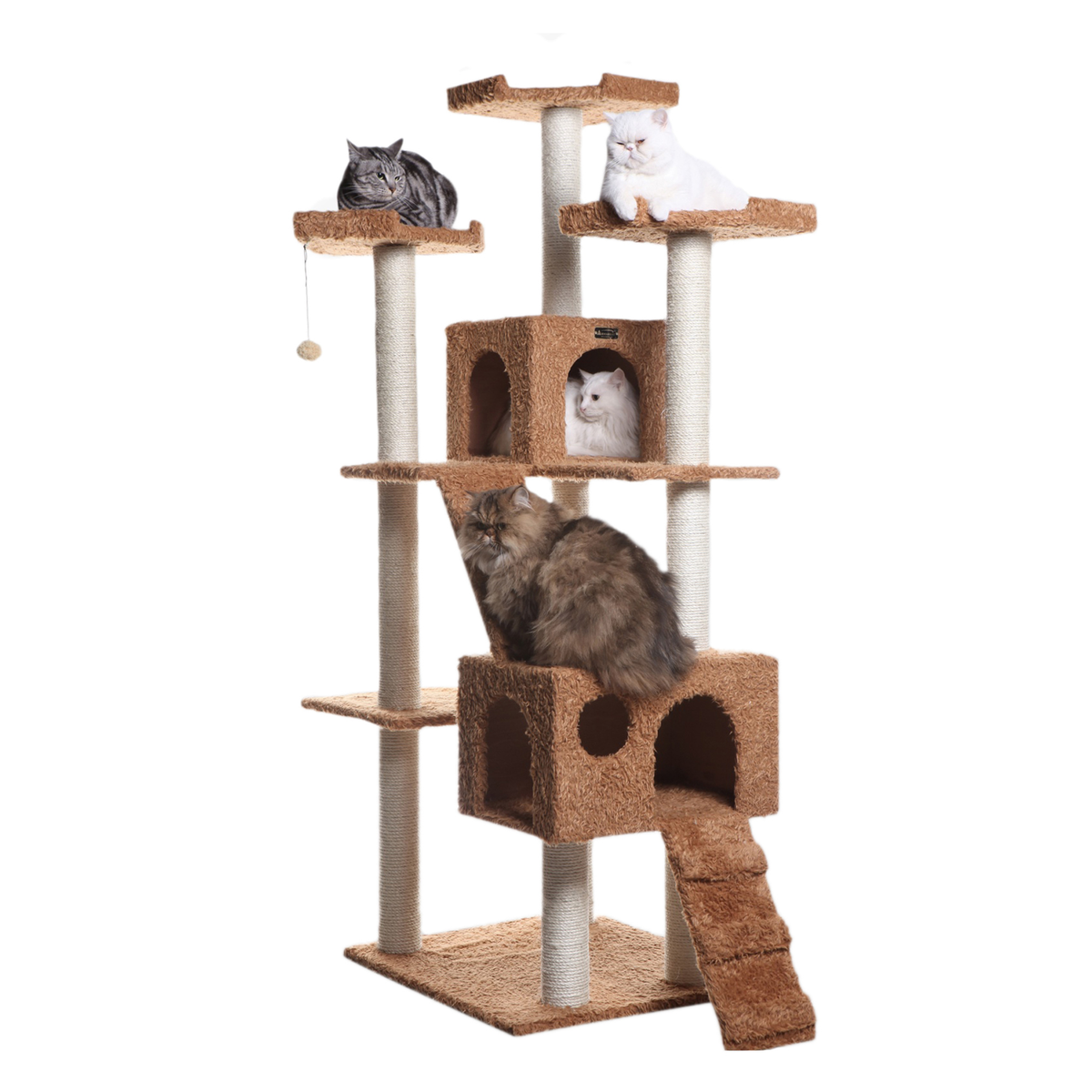 Armarkat Real Wood 74-Inch Ocher Brown Cat Tree, 2 Condos