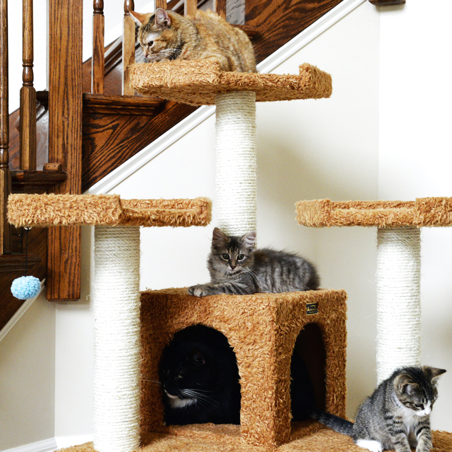 Armarkat Real Wood 74-Inch Ocher Brown Cat Tree, 2 Condos