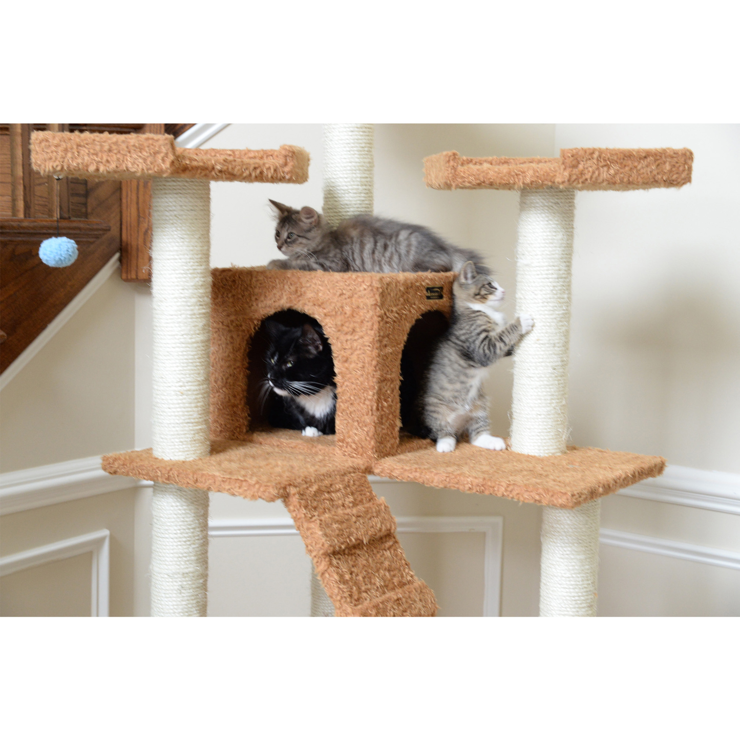 Armarkat Real Wood 74-Inch Ocher Brown Cat Tree, 2 Condos