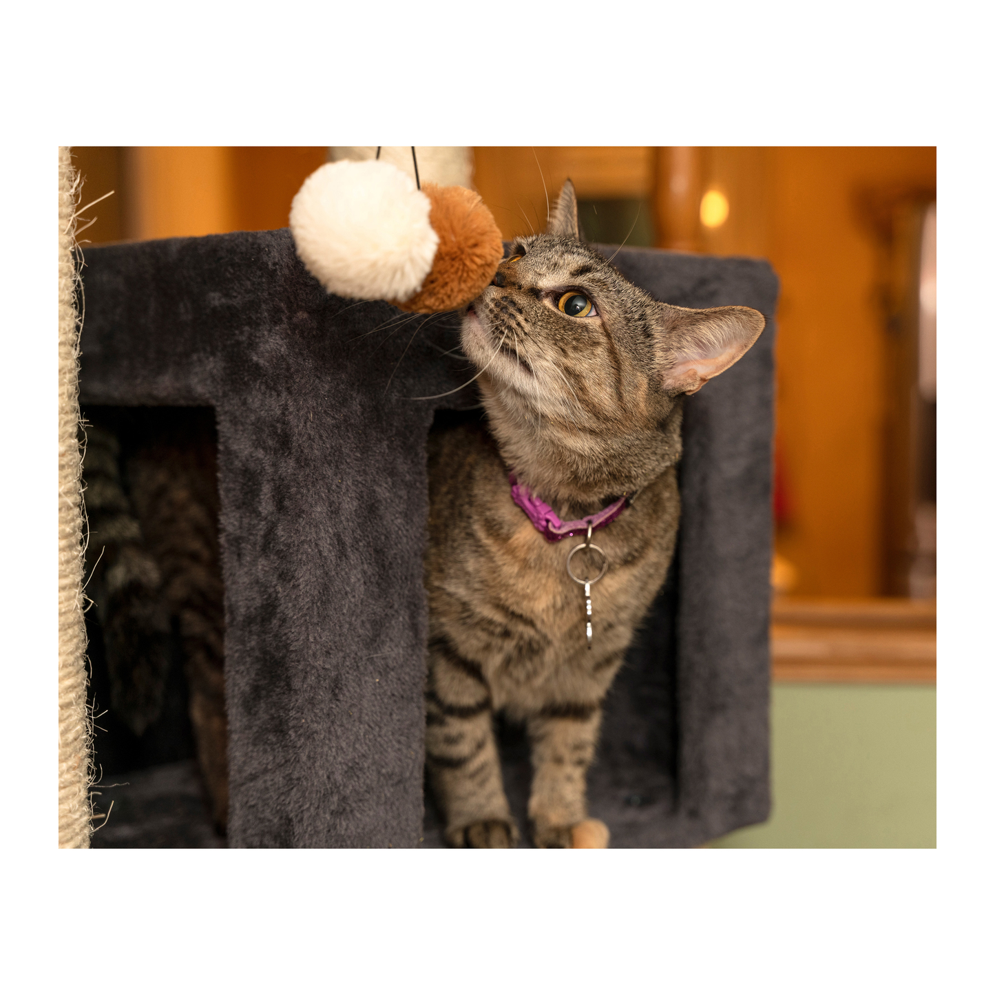 Armarkat Griant cat tower for multiple cats