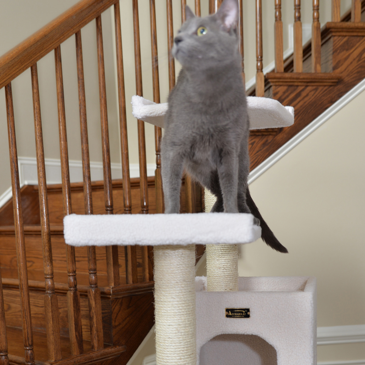 Armarkat Real Wood 68-Inch Ivory 6-Level Cat Tree Condo