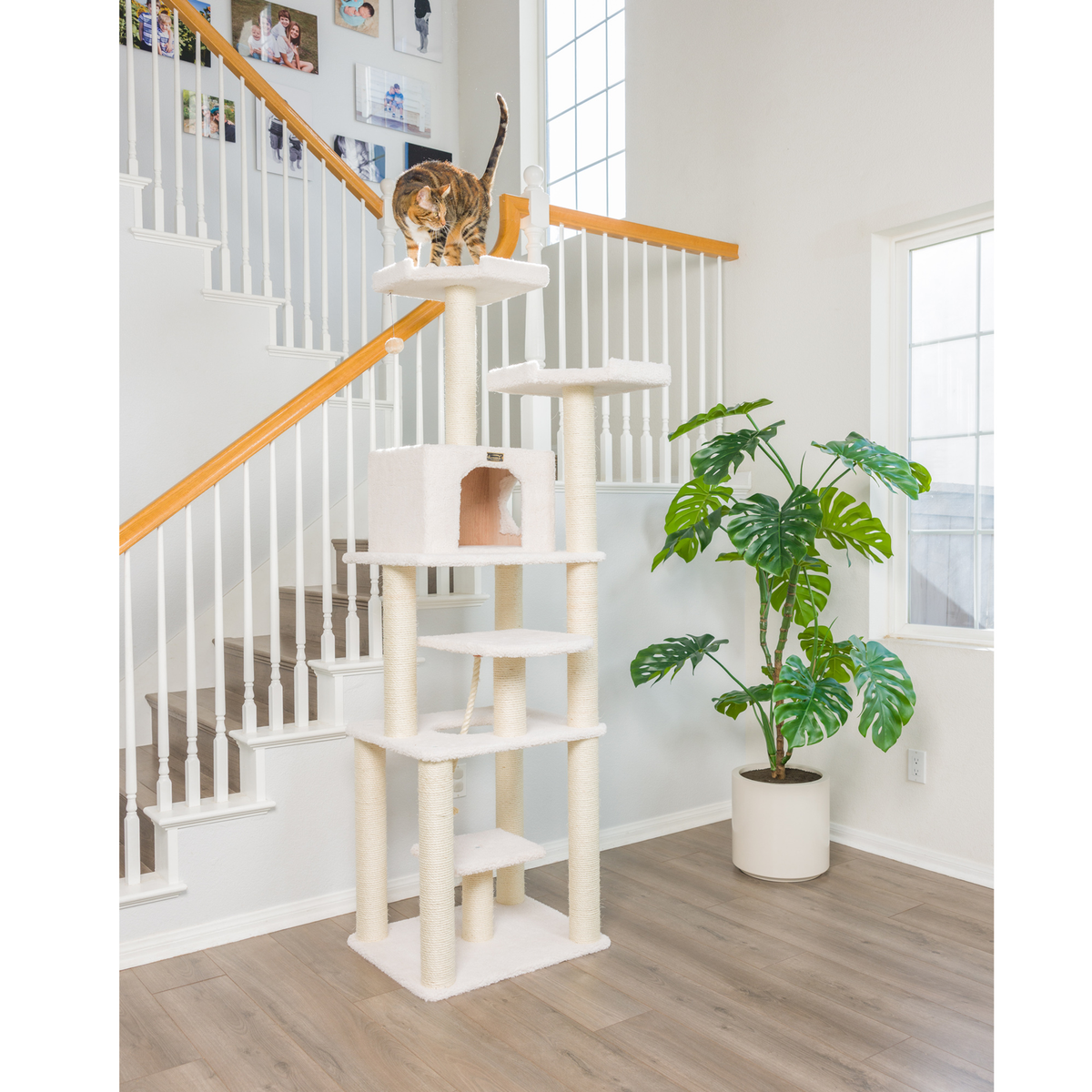 Armarkat Real Wood 78-Inch Ivory 6-Level Cat Tree
