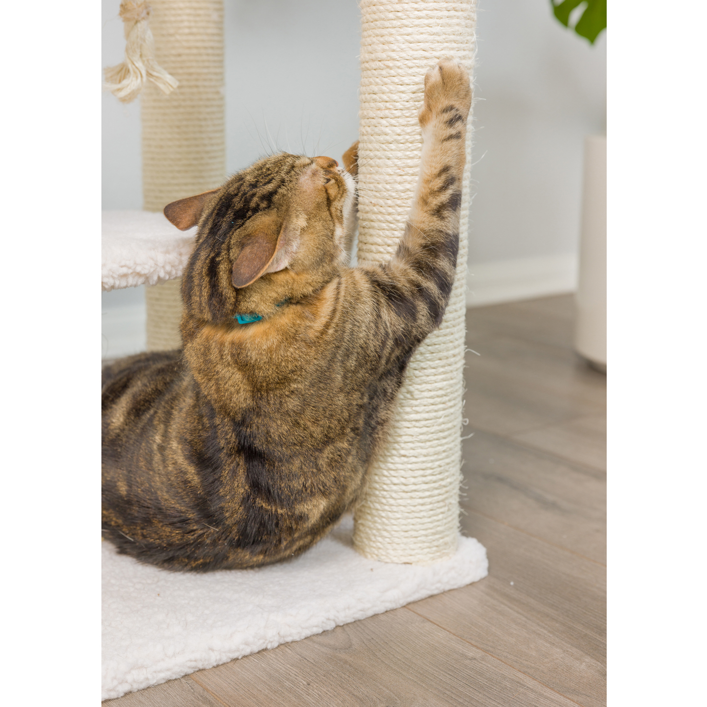 Armarkat Real Wood 78-Inch Ivory 6-Level Cat Tree