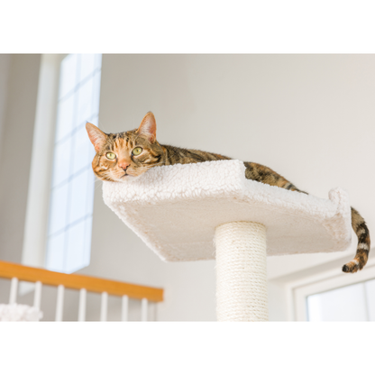Armarkat Real Wood 82-Inch Ivory Cat Tree with Ramp