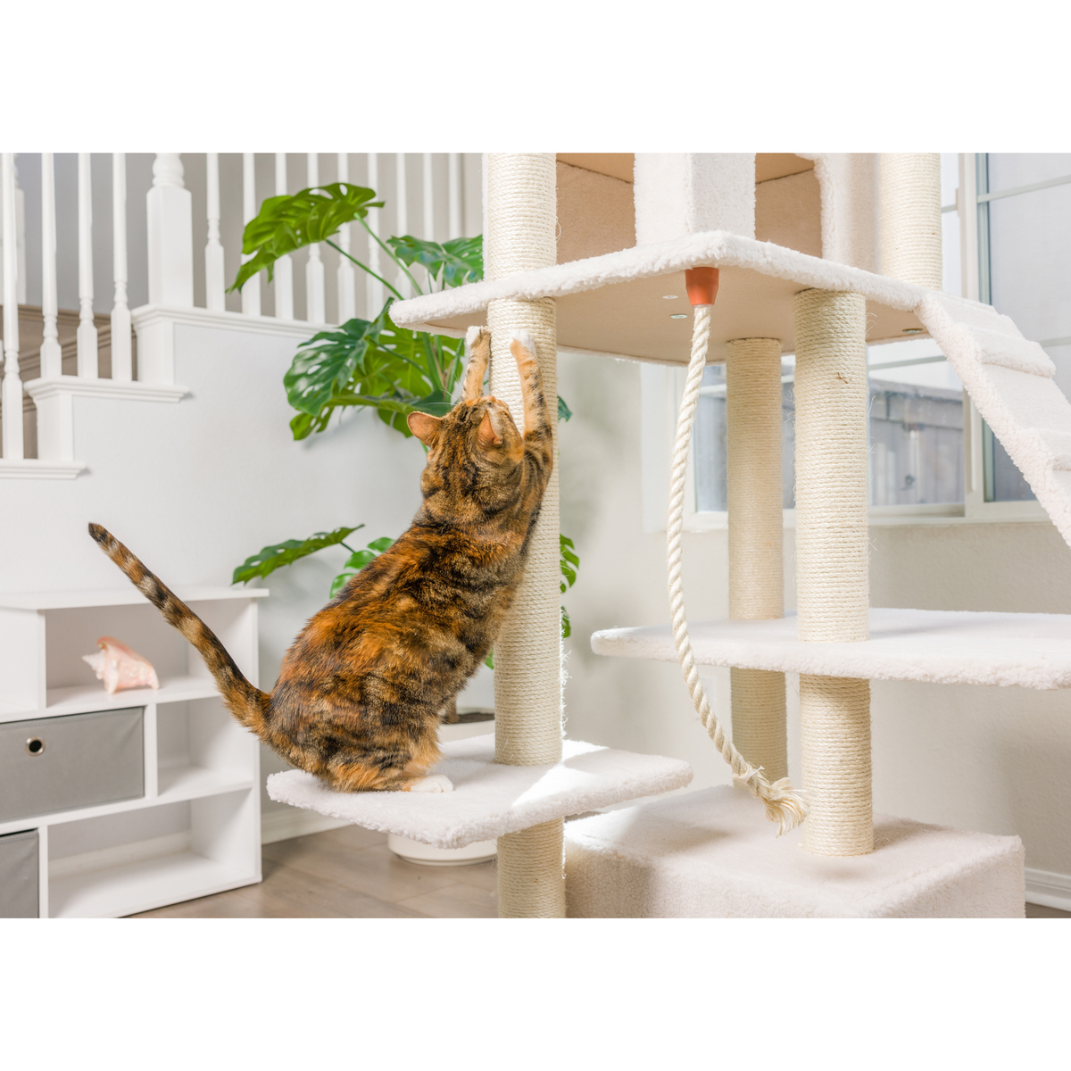 Armarkat Real Wood 82-Inch Ivory Cat Tree with Ramp