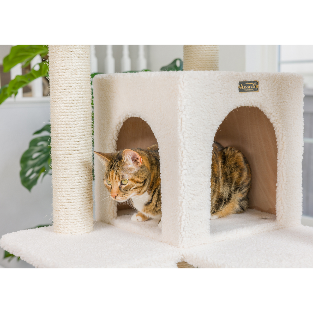 Armarkat Real Wood 82-Inch Ivory Cat Tree with Ramp