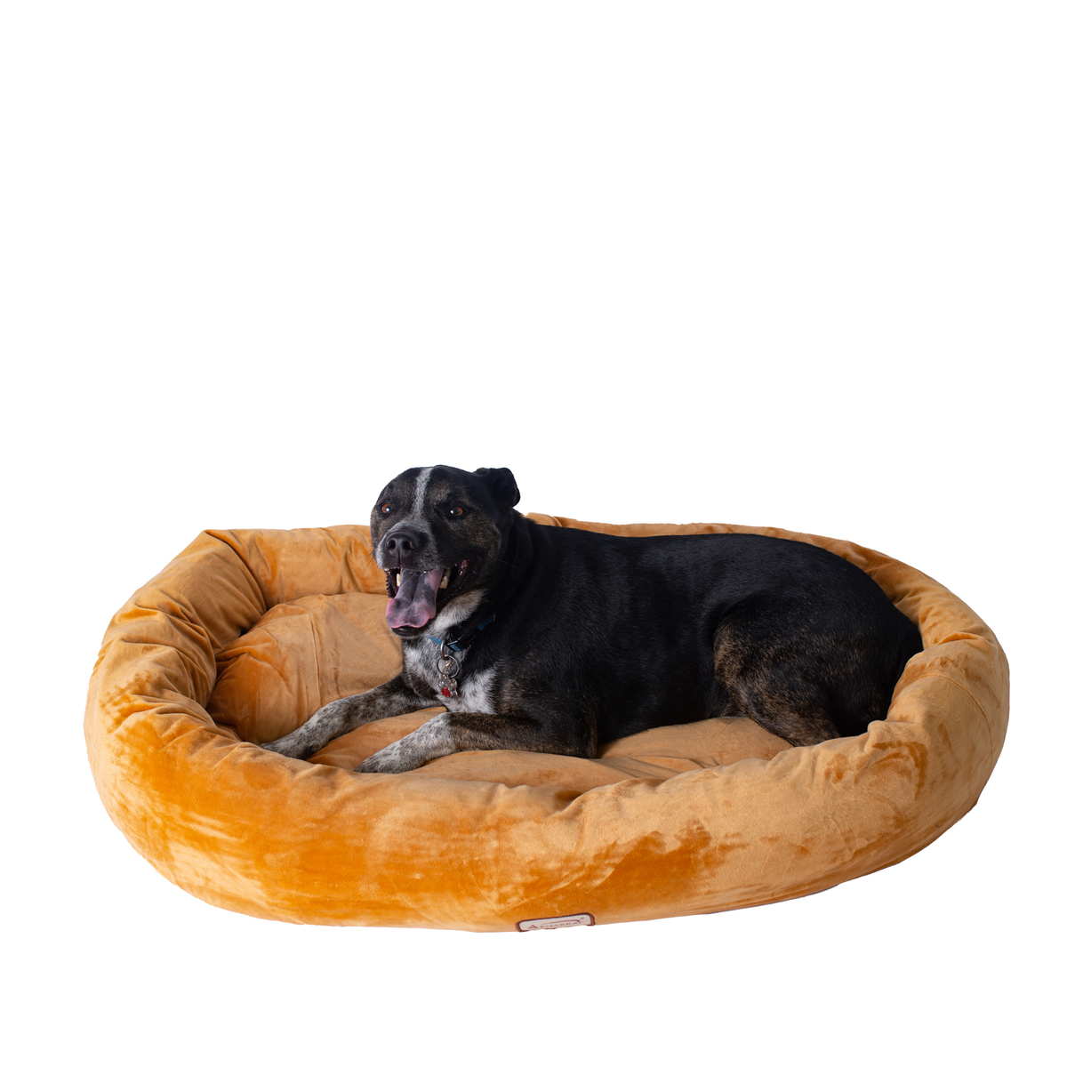 Armarkat Bolstered Ultra-Soft Pet Bed and Mat