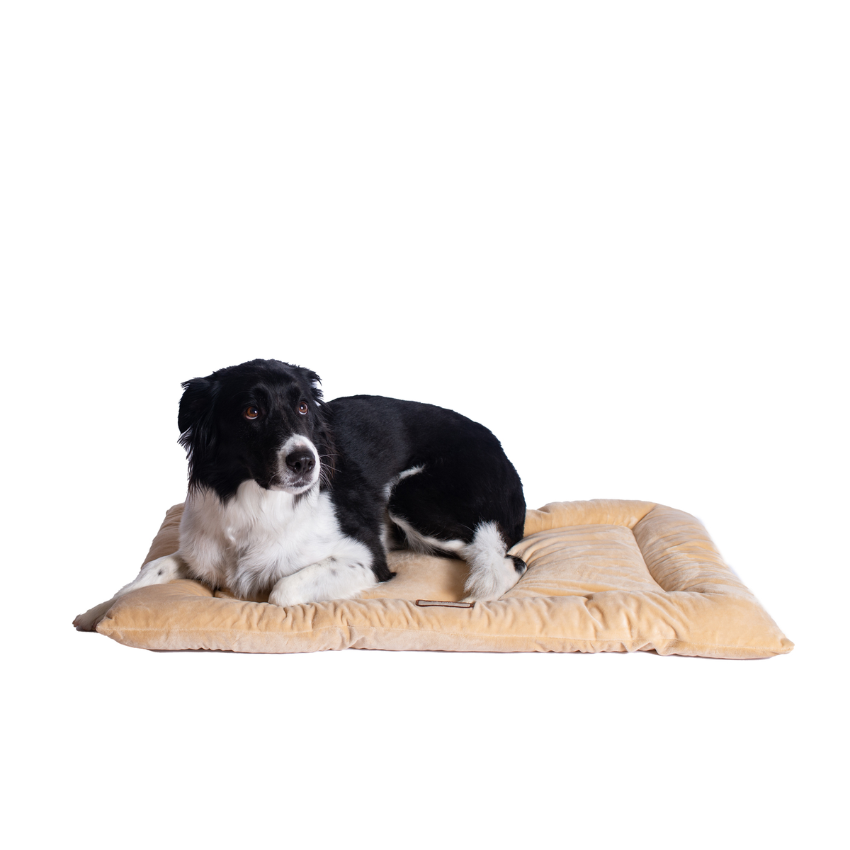 Armarkat Pet Bed Mat, Soft Dog Crate Pad With Poly Fill